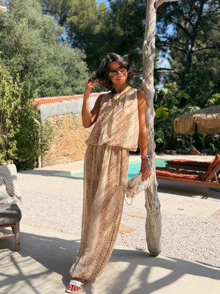 Ensemble BAMBI