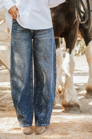 Jean ARIZONA strass