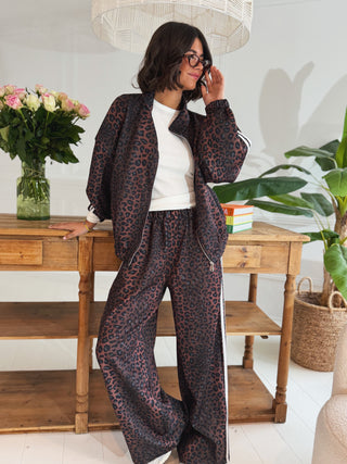 Ensemble LÉOPARD (pré-commande)