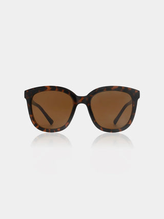 Solaire BILLY demi tortoise